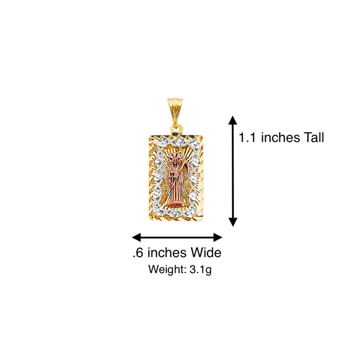 14k Gold Santa Muerte Necklace - Tri Tone Diamond Cut Santa Muerte Gold Pendant - Solid Chain - LE3211