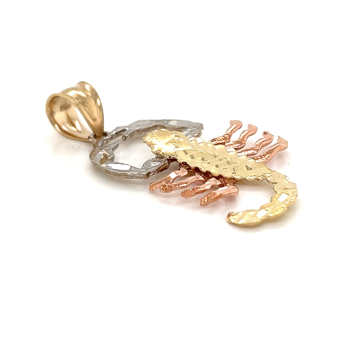 14k Diamond Cut Scorpion Pendant with Figaro Necklace