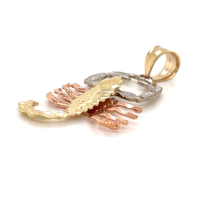 14k Diamond Cut Scorpion Pendant with Figaro Necklace